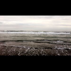 Meet your Posher, Hector